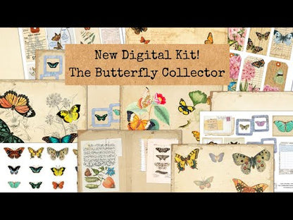 Butterfly Collector's Kit