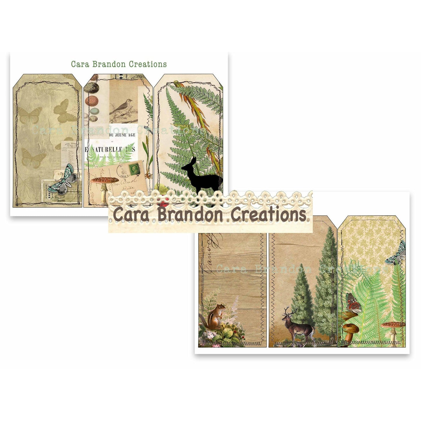 Field and Forest