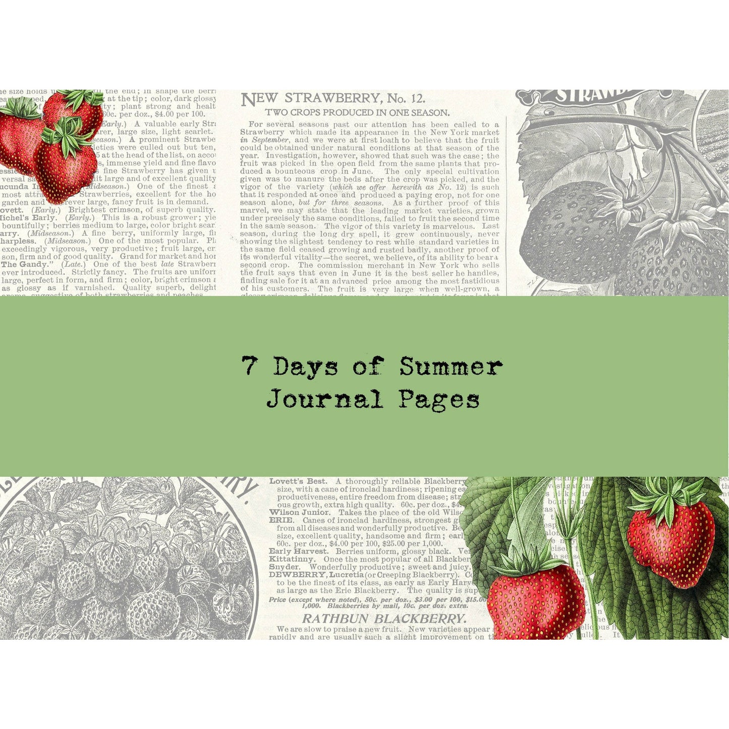7 Days of Summer Journal Page Kit