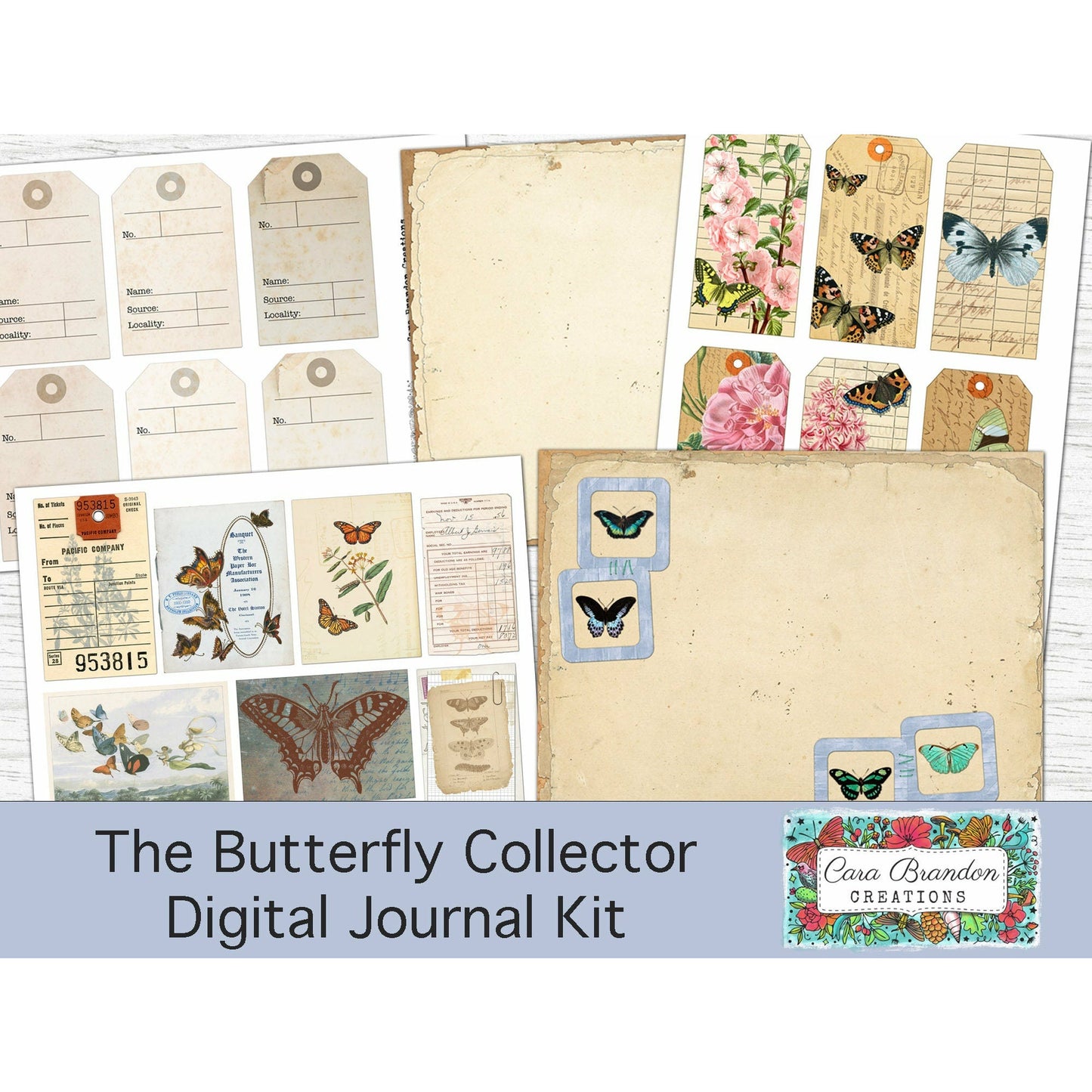 Butterfly Collector's Kit