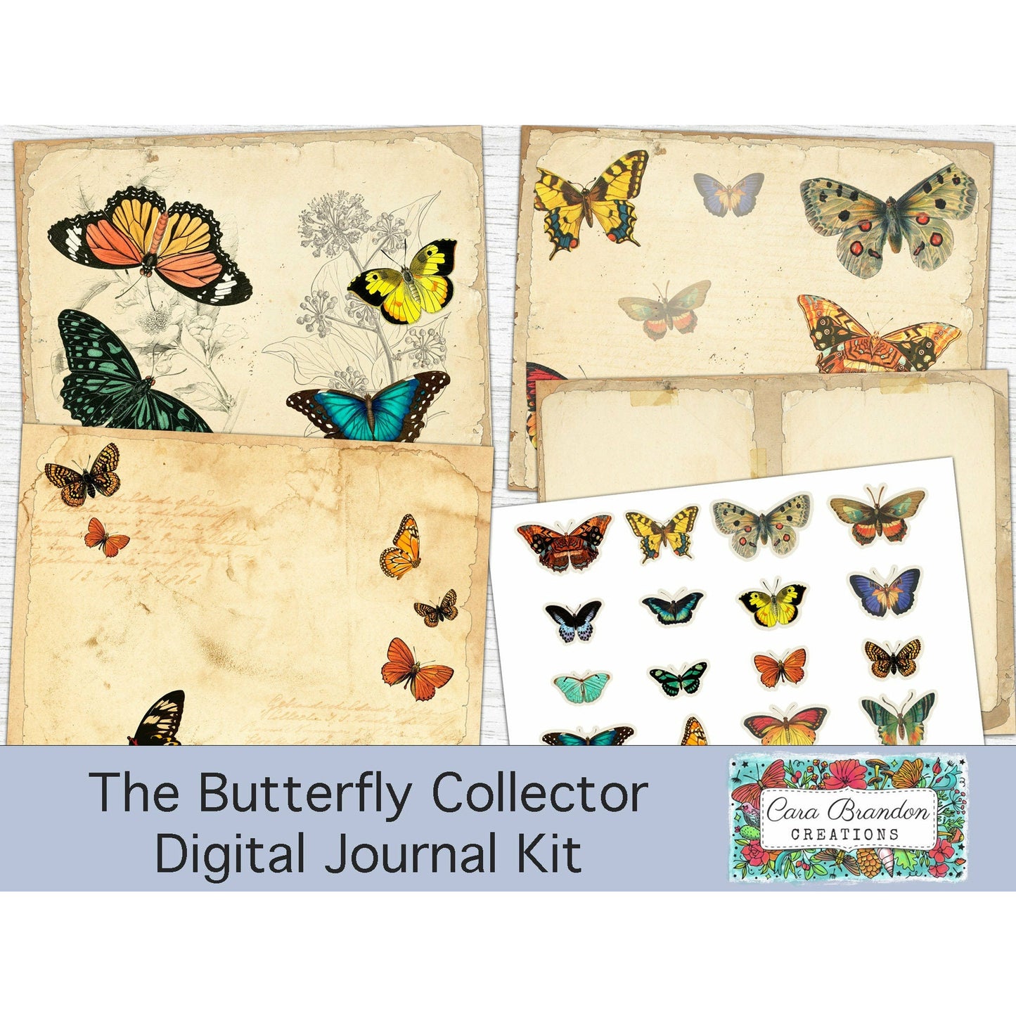 Butterfly Collector's Kit