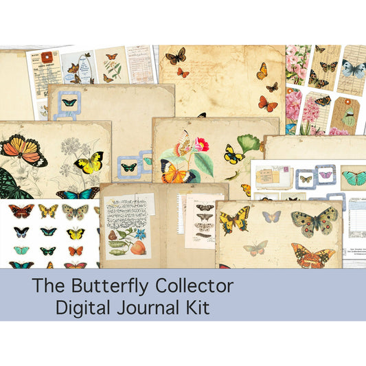 Butterfly Collector's Kit