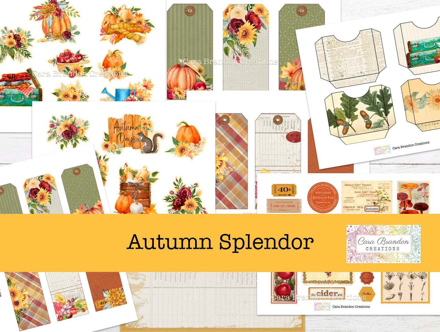 Autumn Splendor