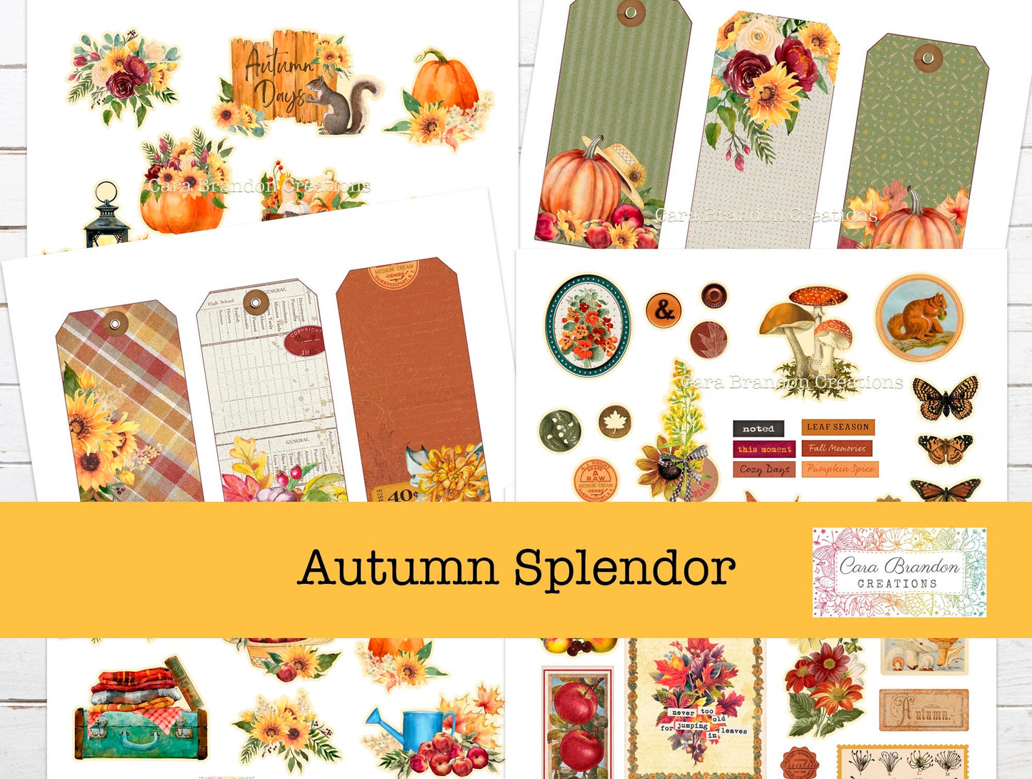 Autumn Splendor