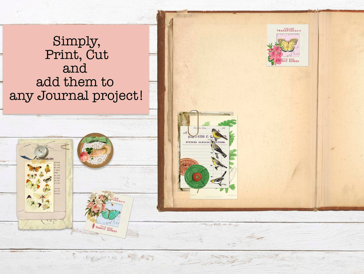 Ephemera Clusters Kit