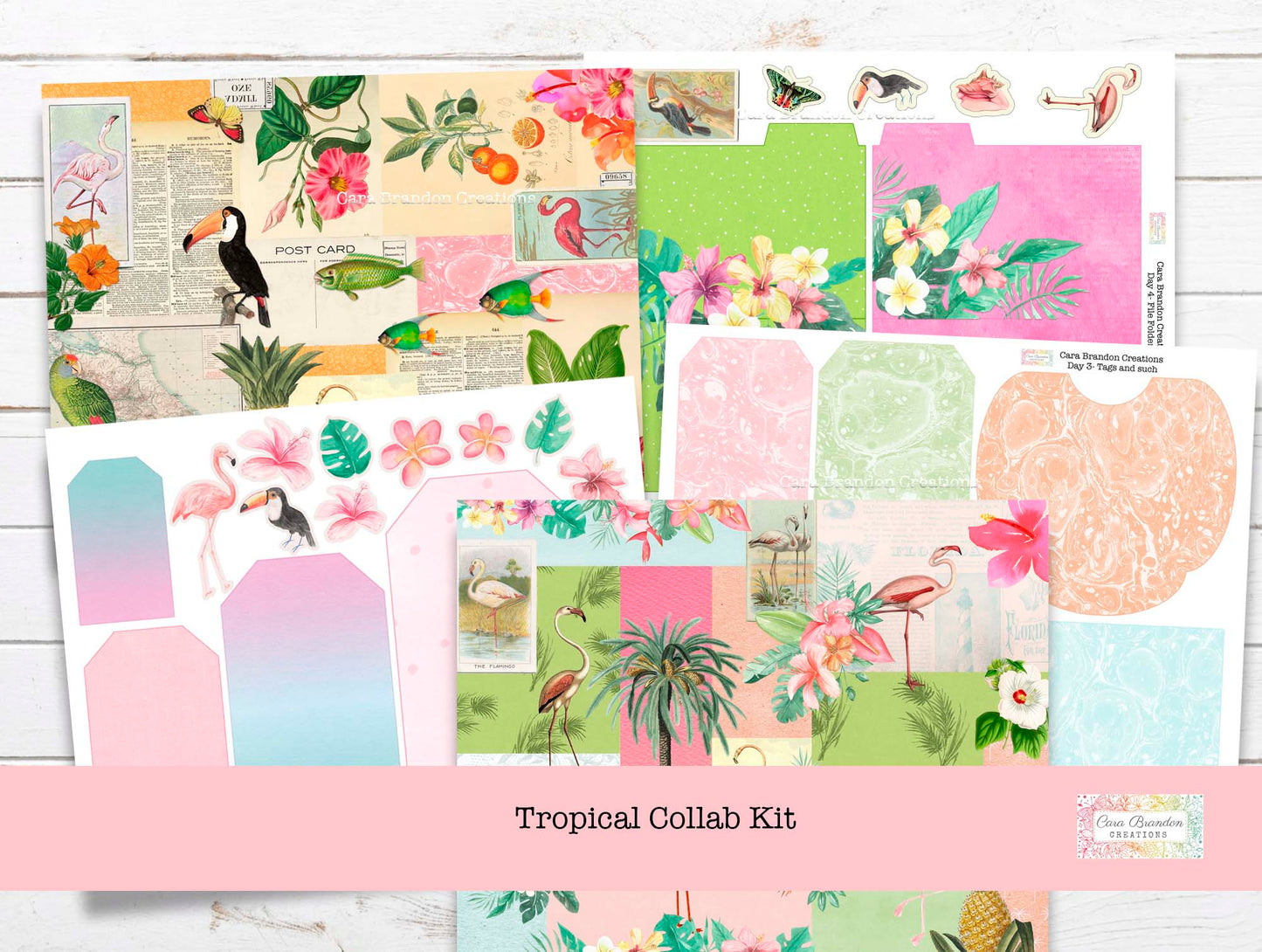Tropical Vibes Collaboration Kit